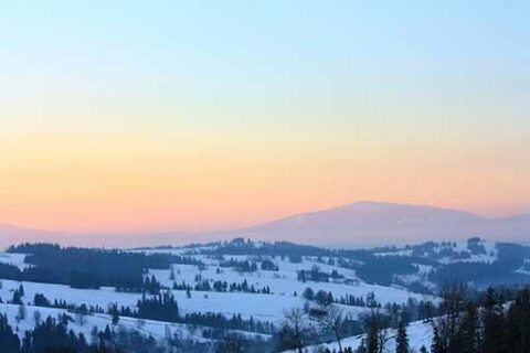 Послуги з корпоративної психології | IN-Person Corporate
